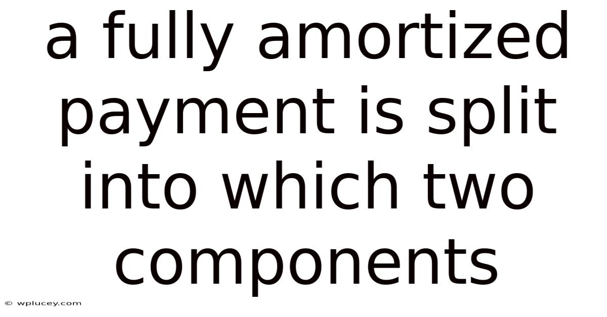 A Fully Amortized Payment Is Split Into Which Two Components