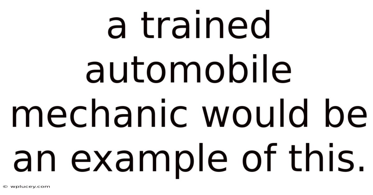 A Trained Automobile Mechanic Would Be An Example Of This.