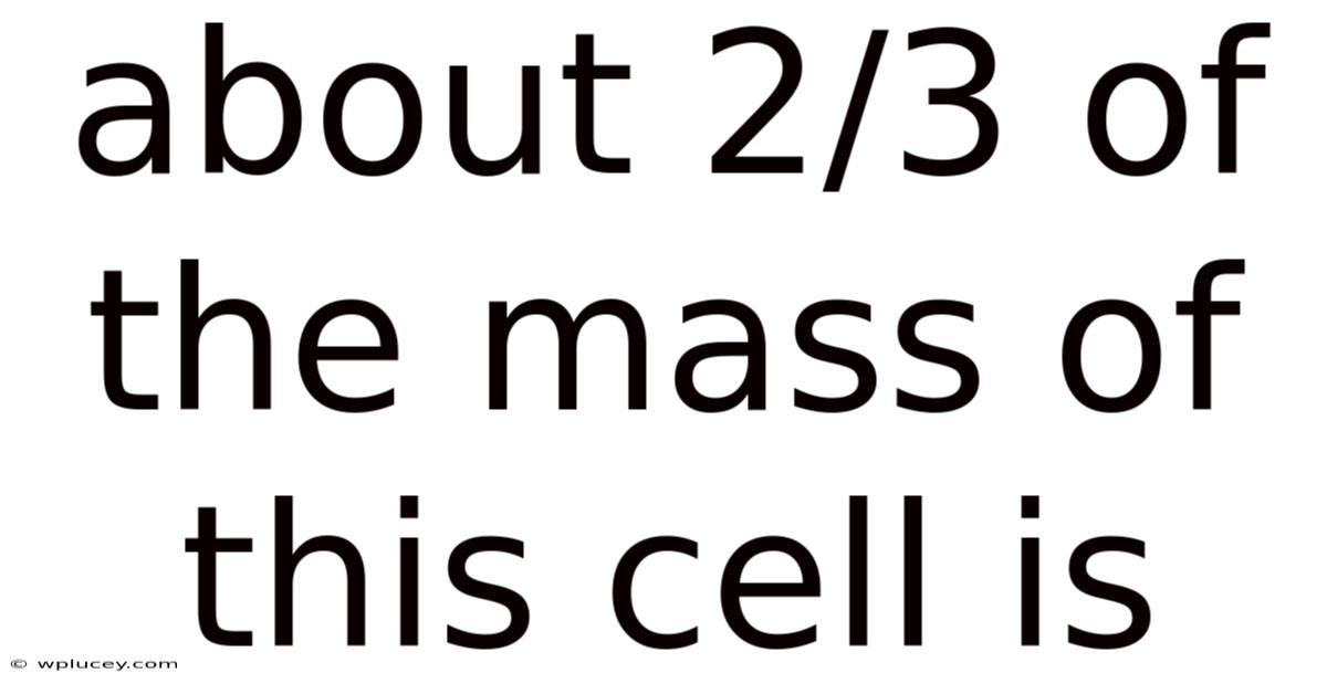 About 2/3 Of The Mass Of This Cell Is