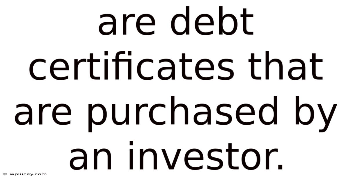 Are Debt Certificates That Are Purchased By An Investor.