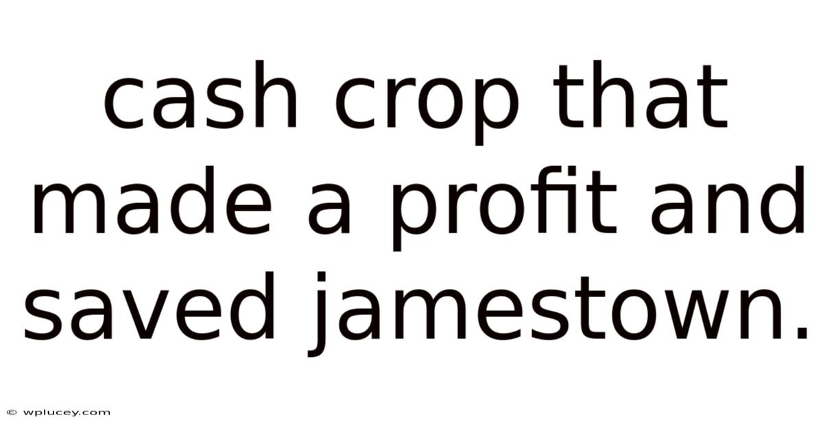 Cash Crop That Made A Profit And Saved Jamestown.