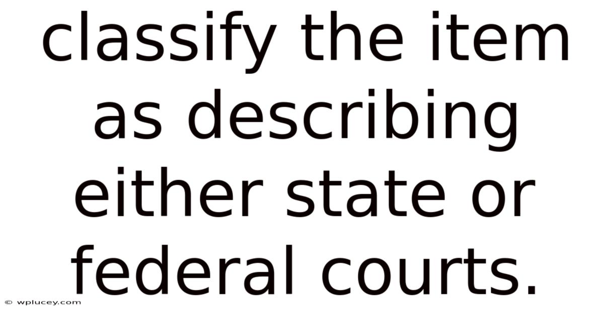 Classify The Item As Describing Either State Or Federal Courts.