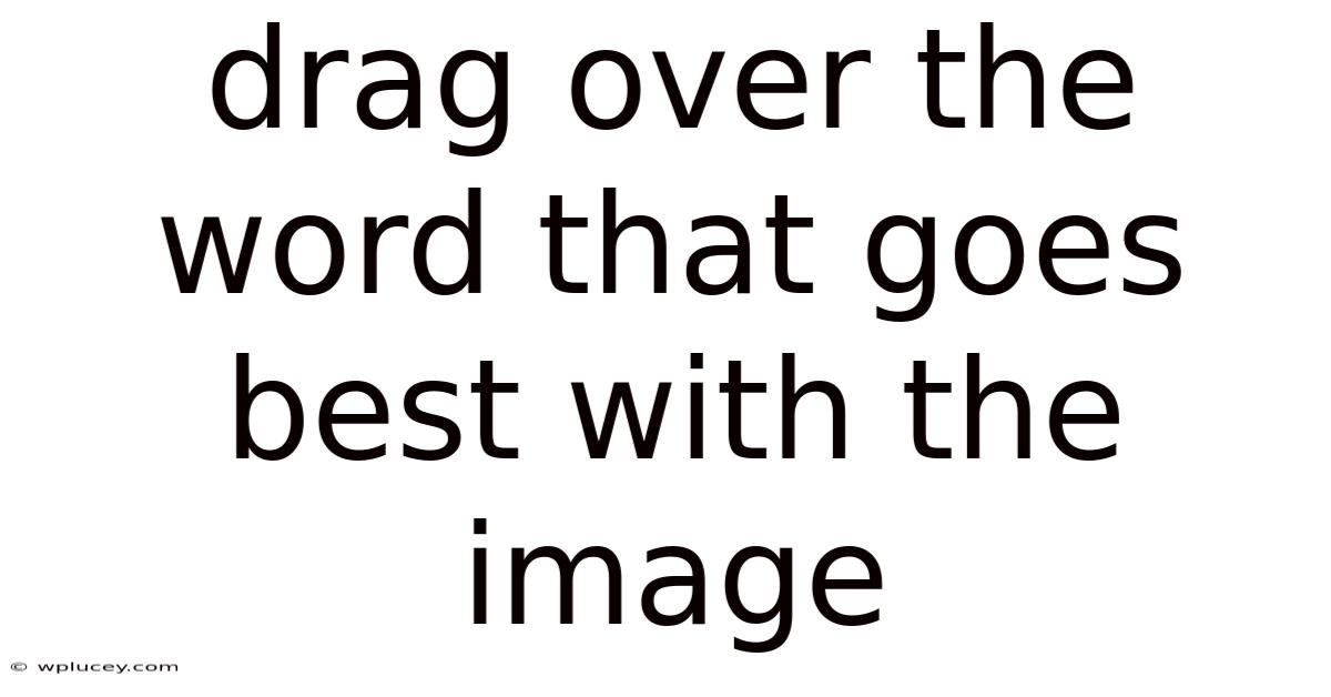 Drag Over The Word That Goes Best With The Image