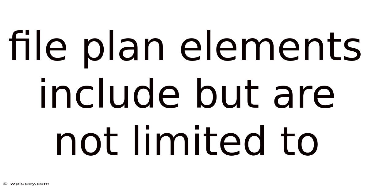 File Plan Elements Include But Are Not Limited To