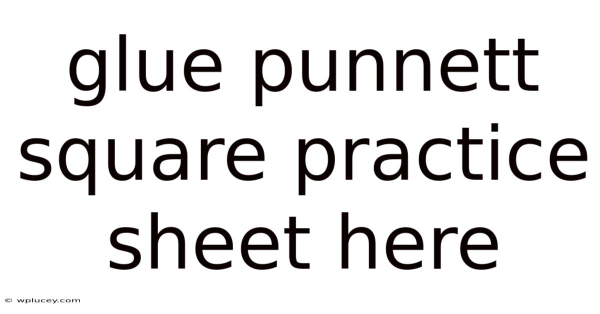 Glue Punnett Square Practice Sheet Here