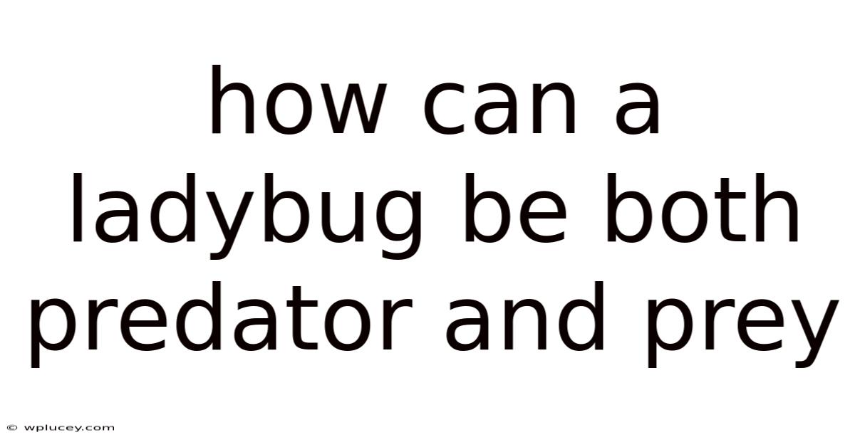 How Can A Ladybug Be Both Predator And Prey