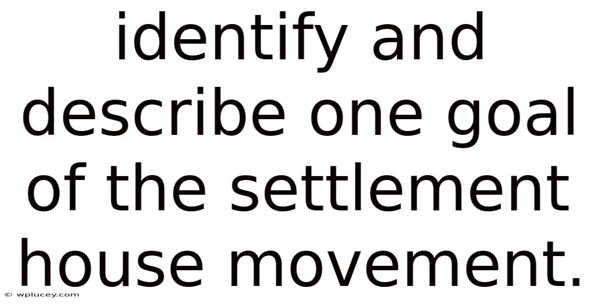 Identify And Describe One Goal Of The Settlement House Movement.