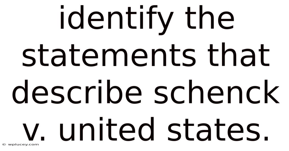 Identify The Statements That Describe Schenck V. United States.