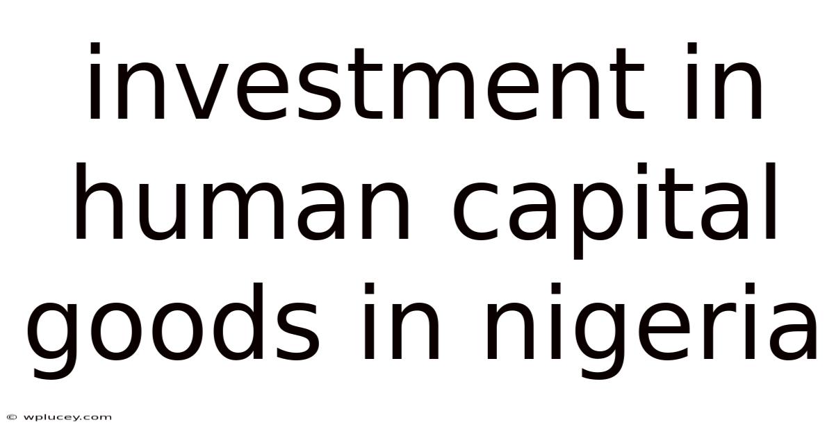 Investment In Human Capital Goods In Nigeria