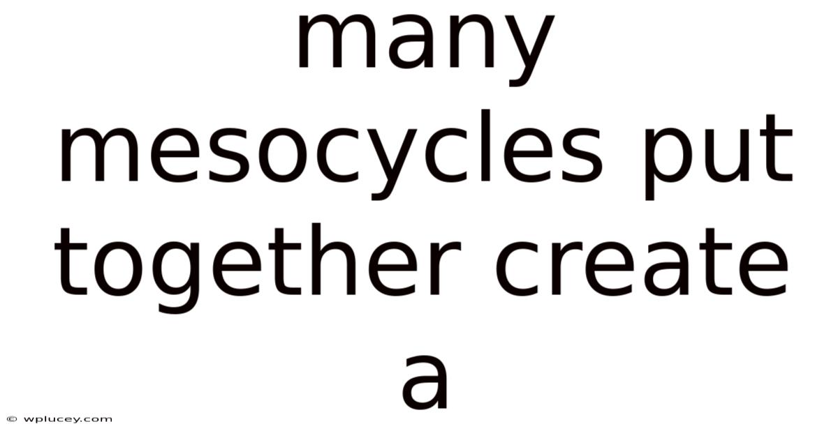 Many Mesocycles Put Together Create A