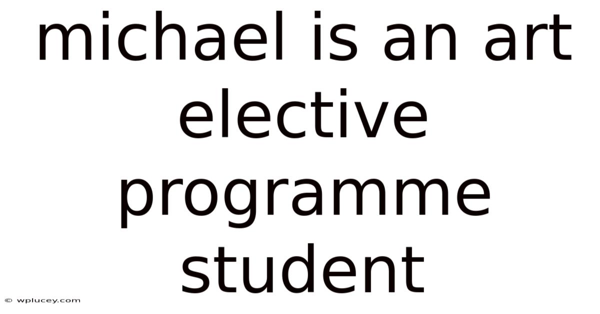 Michael Is An Art Elective Programme Student