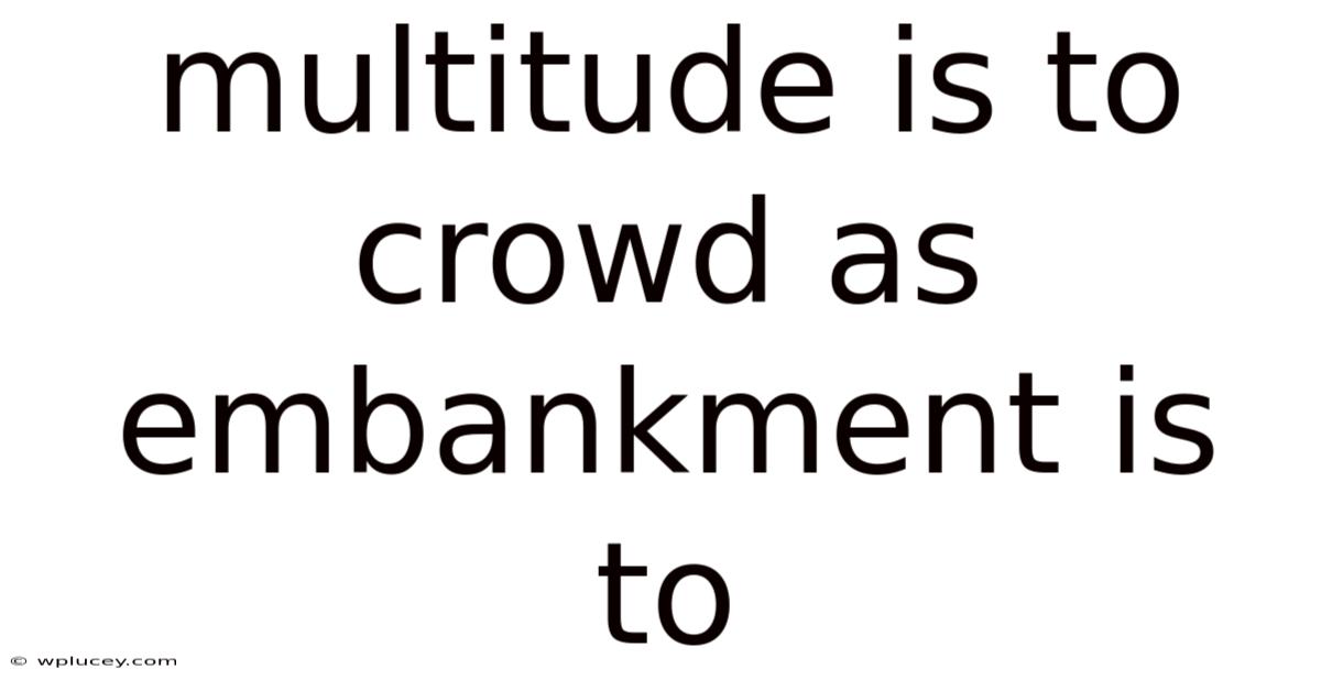 Multitude Is To Crowd As Embankment Is To