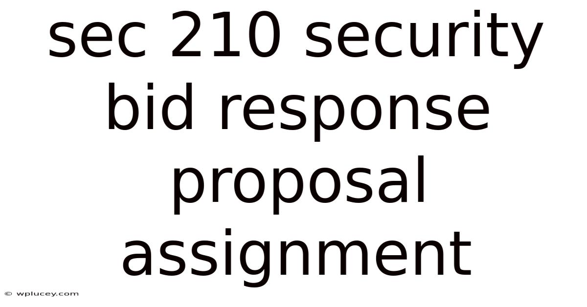 Sec 210 Security Bid Response Proposal Assignment