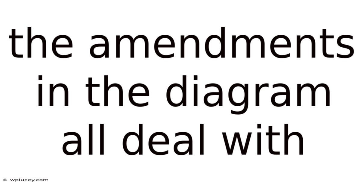 The Amendments In The Diagram All Deal With