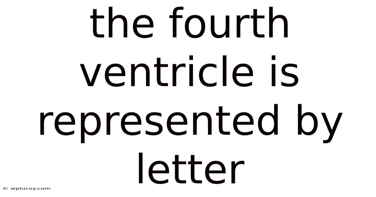 The Fourth Ventricle Is Represented By Letter