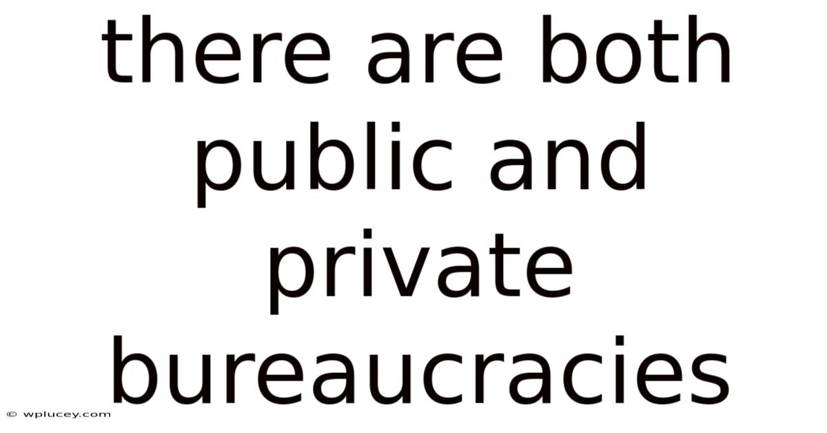 There Are Both Public And Private Bureaucracies