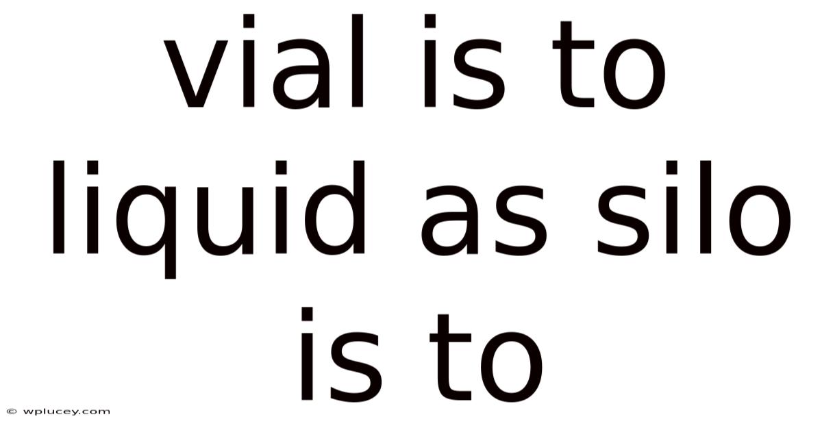 Vial Is To Liquid As Silo Is To