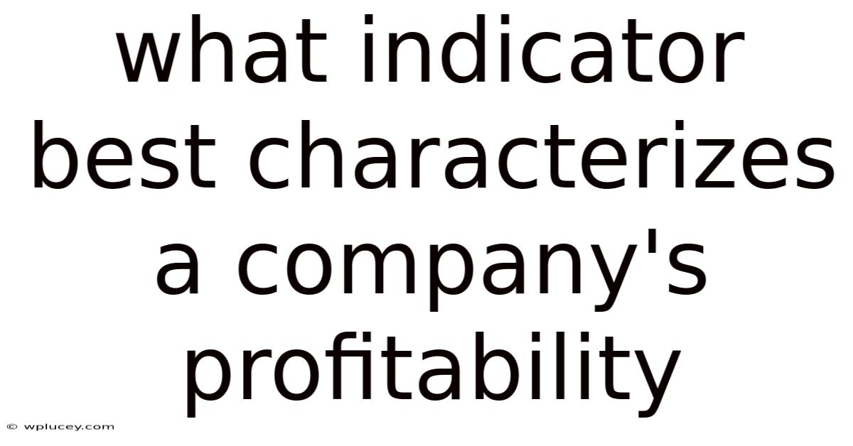 What Indicator Best Characterizes A Company's Profitability