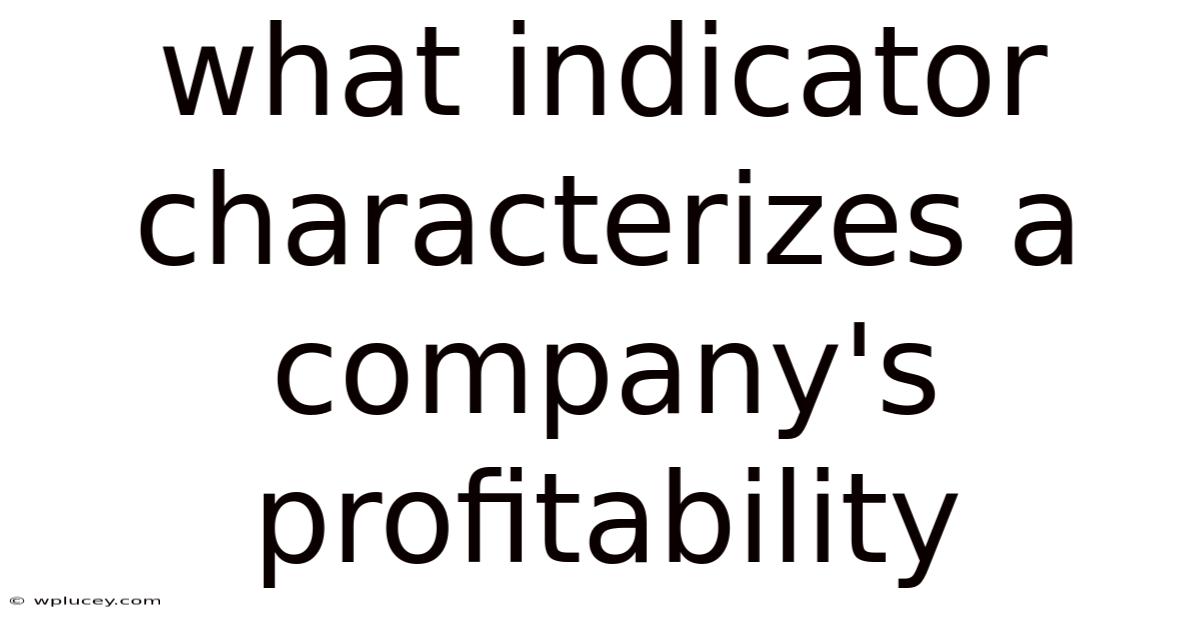 What Indicator Characterizes A Company's Profitability
