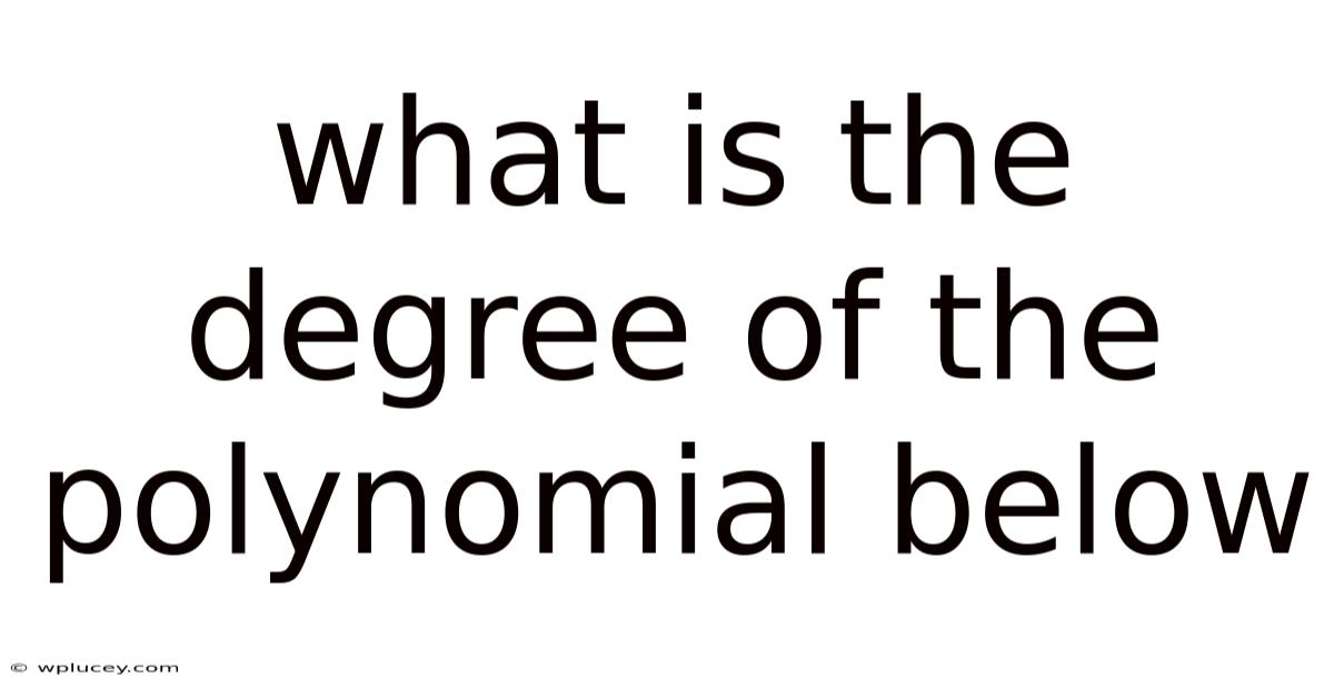 What Is The Degree Of The Polynomial Below