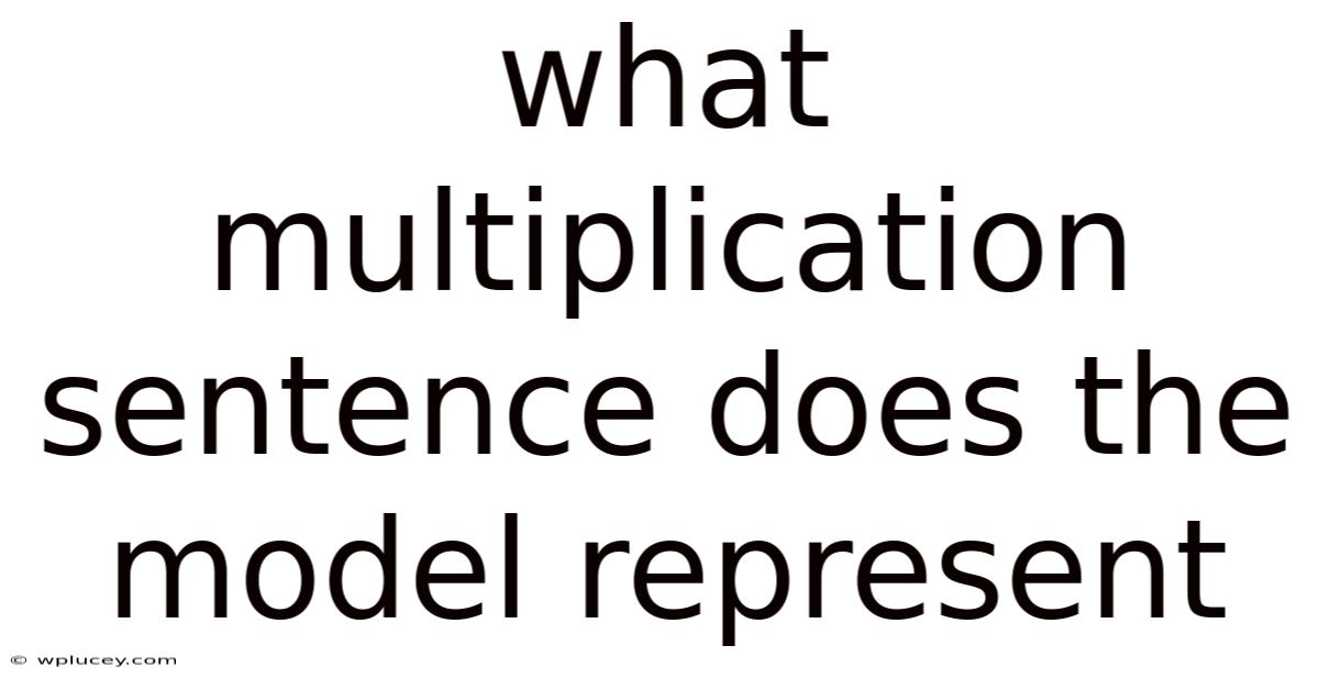 What Multiplication Sentence Does The Model Represent
