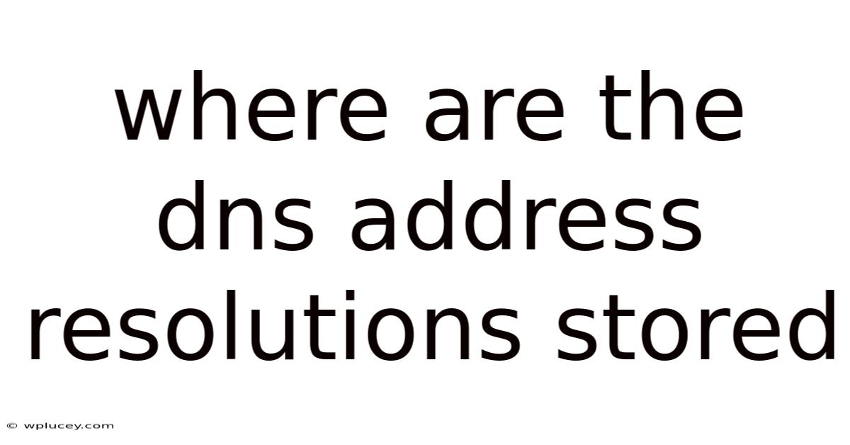 Where Are The Dns Address Resolutions Stored