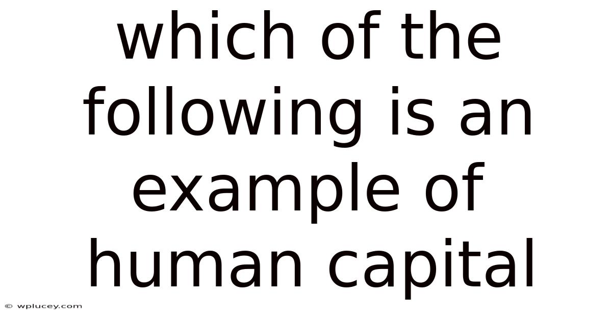 Which Of The Following Is An Example Of Human Capital