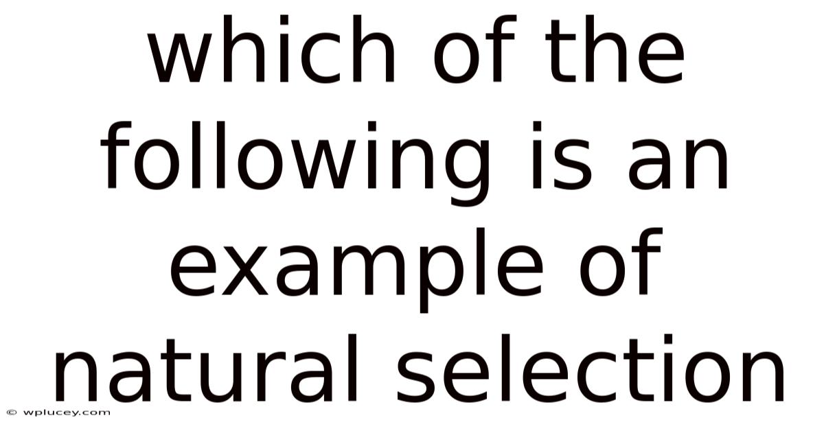 Which Of The Following Is An Example Of Natural Selection