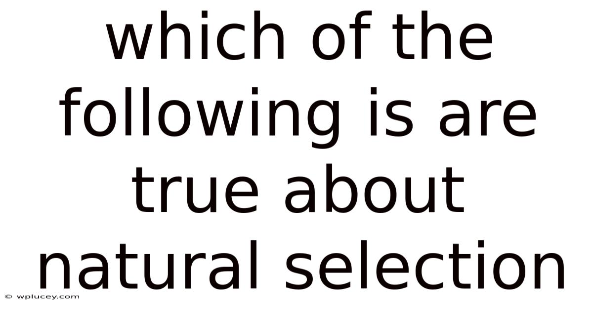 Which Of The Following Is Are True About Natural Selection