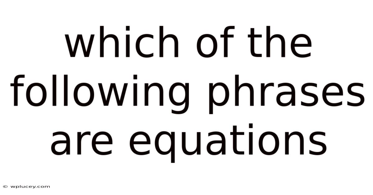 Which Of The Following Phrases Are Equations
