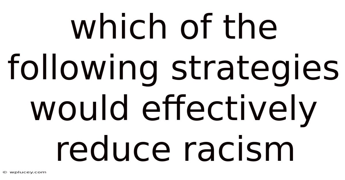 Which Of The Following Strategies Would Effectively Reduce Racism