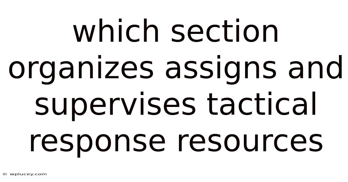 Which Section Organizes Assigns And Supervises Tactical Response Resources